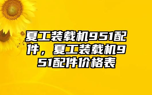 夏工裝載機(jī)951配件，夏工裝載機(jī)951配件價格表