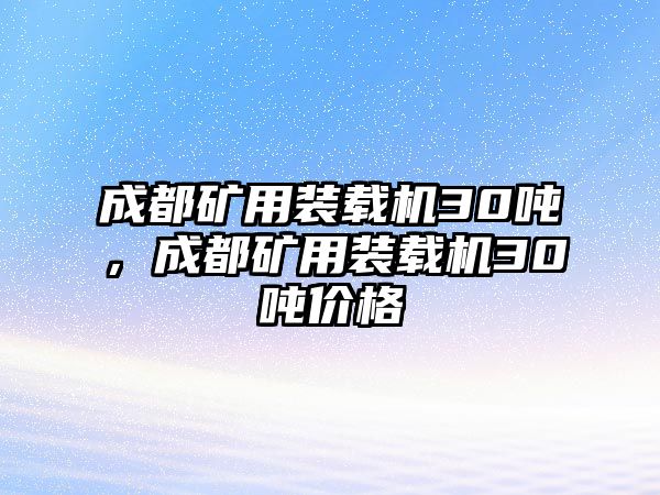 成都礦用裝載機(jī)30噸，成都礦用裝載機(jī)30噸價格