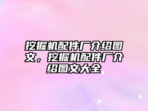 挖掘機配件廠介紹圖文，挖掘機配件廠介紹圖文大全