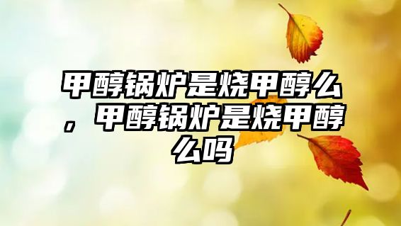 甲醇鍋爐是燒甲醇么，甲醇鍋爐是燒甲醇么嗎