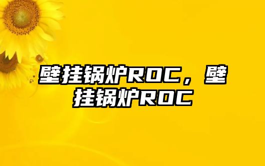 壁掛鍋爐ROC，壁掛鍋爐ROC