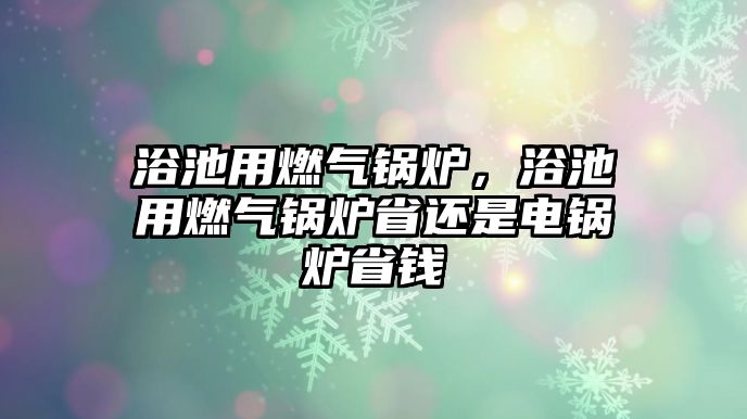 浴池用燃氣鍋爐，浴池用燃氣鍋爐省還是電鍋爐省錢