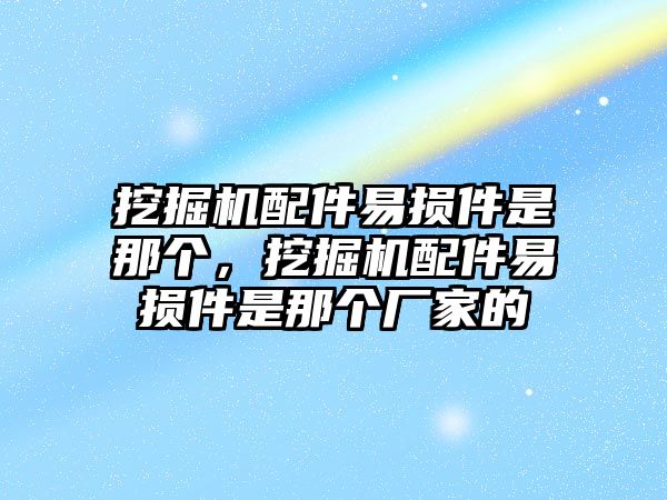 挖掘機(jī)配件易損件是那個，挖掘機(jī)配件易損件是那個廠家的