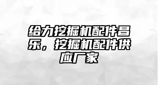 給力挖掘機配件昌樂，挖掘機配件供應(yīng)廠家