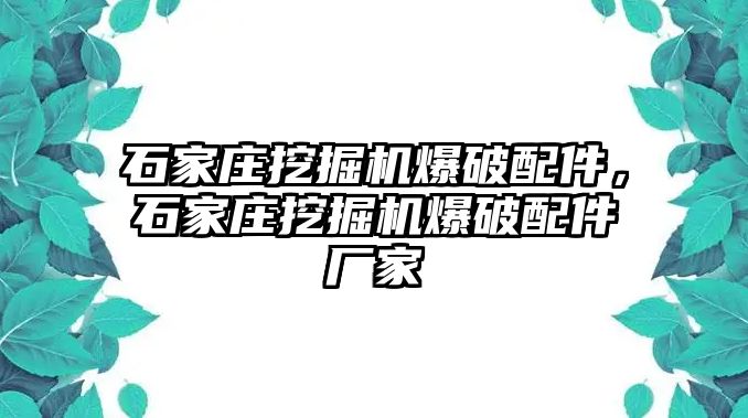 石家莊挖掘機(jī)爆破配件，石家莊挖掘機(jī)爆破配件廠家