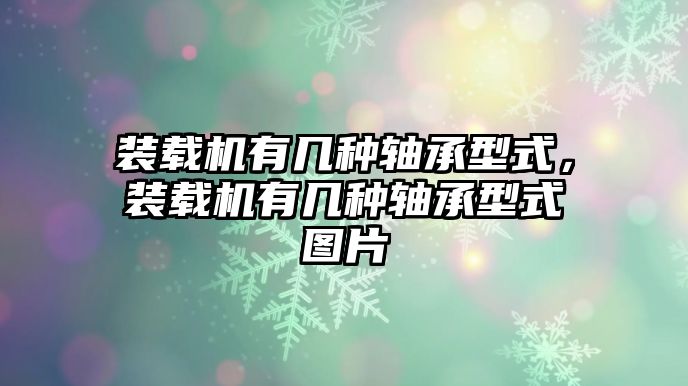 裝載機(jī)有幾種軸承型式，裝載機(jī)有幾種軸承型式圖片