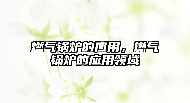 燃氣鍋爐的應(yīng)用，燃氣鍋爐的應(yīng)用領(lǐng)域