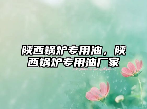 陜西鍋爐專用油，陜西鍋爐專用油廠家