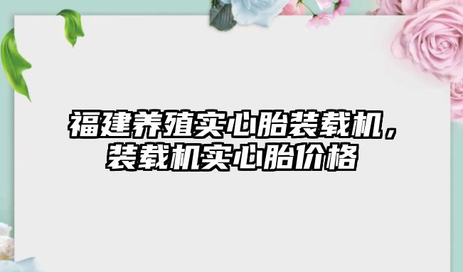 福建養(yǎng)殖實心胎裝載機，裝載機實心胎價格