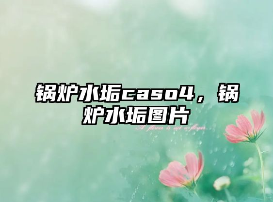 鍋爐水垢caso4，鍋爐水垢圖片