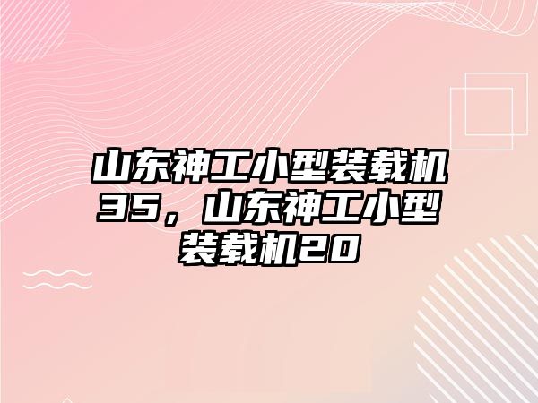 山東神工小型裝載機(jī)35，山東神工小型裝載機(jī)20
