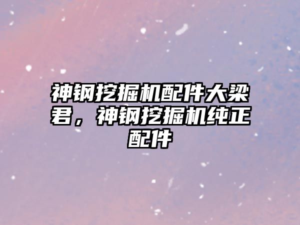 神鋼挖掘機配件大梁君，神鋼挖掘機純正配件