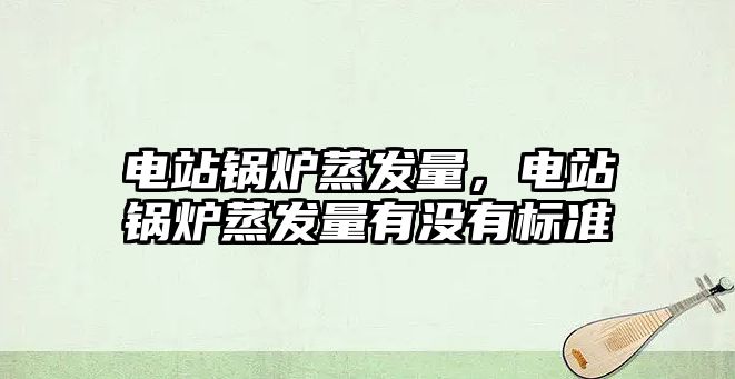 電站鍋爐蒸發(fā)量，電站鍋爐蒸發(fā)量有沒(méi)有標(biāo)準(zhǔn)