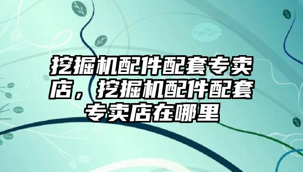 挖掘機配件配套專賣店，挖掘機配件配套專賣店在哪里