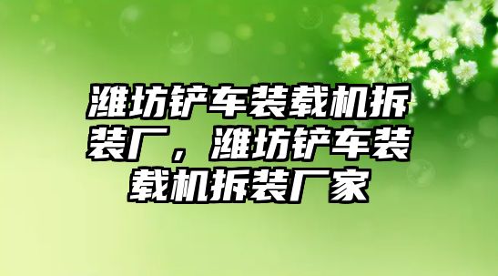 濰坊鏟車裝載機拆裝廠，濰坊鏟車裝載機拆裝廠家