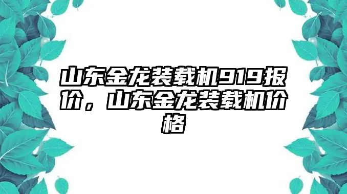 山東金龍裝載機(jī)919報(bào)價(jià)，山東金龍裝載機(jī)價(jià)格