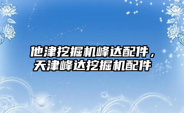 他津挖掘機峰達配件，天津峰達挖掘機配件