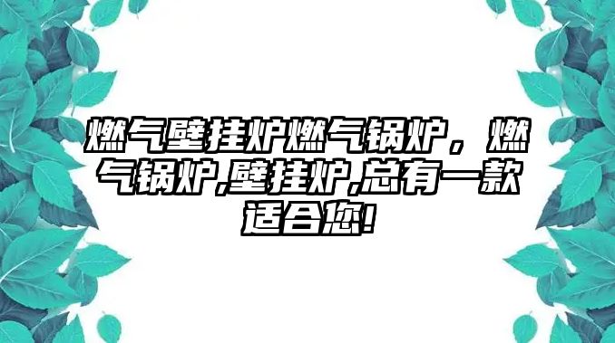 燃氣壁掛爐燃氣鍋爐，燃氣鍋爐,壁掛爐,總有一款適合您!