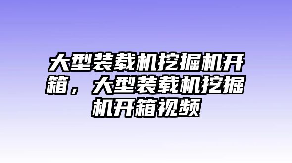 大型裝載機挖掘機開箱，大型裝載機挖掘機開箱視頻