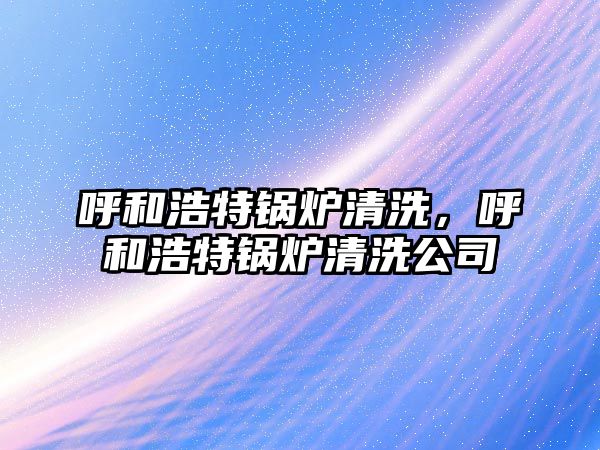 呼和浩特鍋爐清洗，呼和浩特鍋爐清洗公司