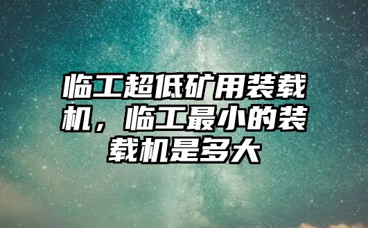 臨工超低礦用裝載機，臨工最小的裝載機是多大