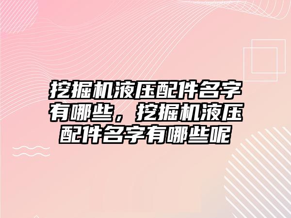 挖掘機液壓配件名字有哪些，挖掘機液壓配件名字有哪些呢