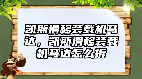 凱斯滑移裝載機馬達，凱斯滑移裝載機馬達怎么拆