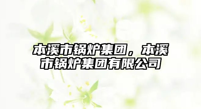 本溪市鍋爐集團(tuán)，本溪市鍋爐集團(tuán)有限公司