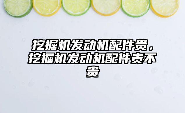 挖掘機發(fā)動機配件貴，挖掘機發(fā)動機配件貴不貴