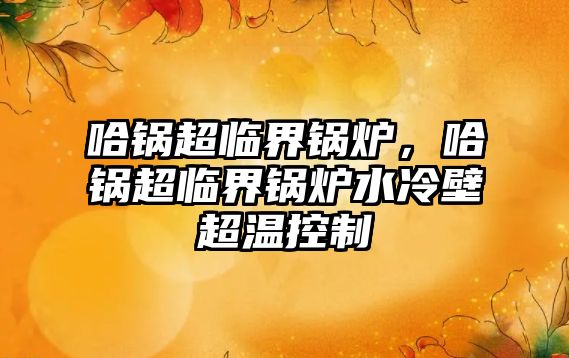 哈鍋超臨界鍋爐，哈鍋超臨界鍋爐水冷壁超溫控制