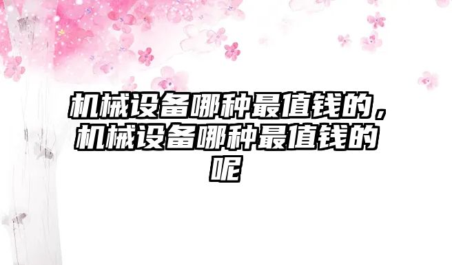 機械設(shè)備哪種最值錢的，機械設(shè)備哪種最值錢的呢