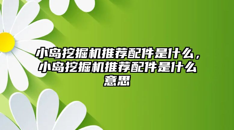 小島挖掘機推薦配件是什么，小島挖掘機推薦配件是什么意思