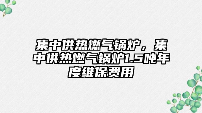 集中供熱燃氣鍋爐，集中供熱燃氣鍋爐1.5噸年度維保費用