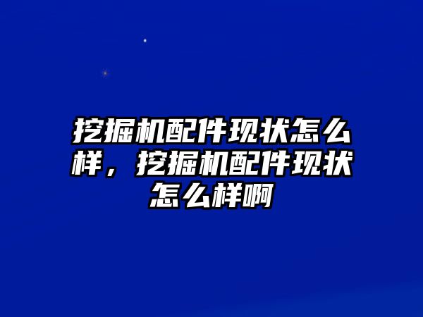 挖掘機(jī)配件現(xiàn)狀怎么樣，挖掘機(jī)配件現(xiàn)狀怎么樣啊