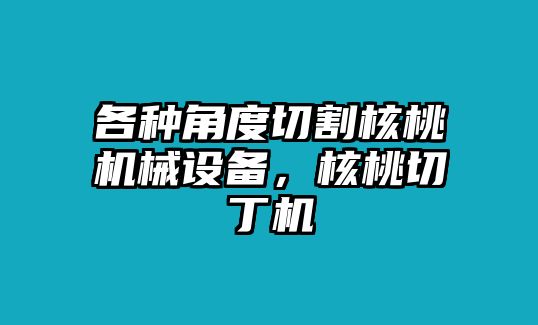 各種角度切割核桃機(jī)械設(shè)備，核桃切丁機(jī)