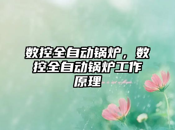 數(shù)控全自動鍋爐，數(shù)控全自動鍋爐工作原理