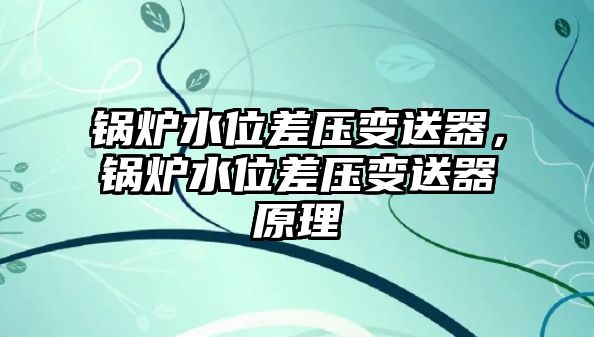 鍋爐水位差壓變送器，鍋爐水位差壓變送器原理