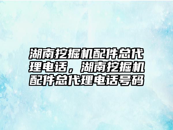 湖南挖掘機配件總代理電話，湖南挖掘機配件總代理電話號碼