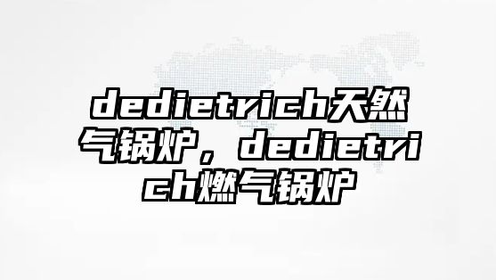 dedietrich天然氣鍋爐，dedietrich燃?xì)忮仩t