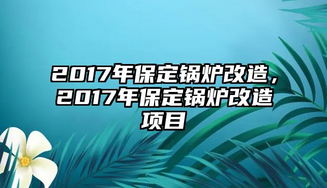 2017年保定鍋爐改造，2017年保定鍋爐改造項目