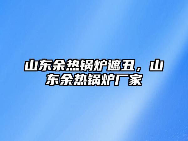 山東余熱鍋爐遮丑，山東余熱鍋爐廠家