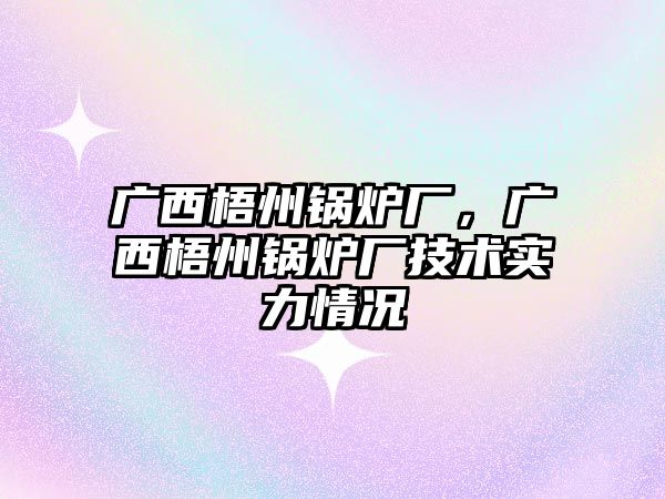 廣西梧州鍋爐廠，廣西梧州鍋爐廠技術實力情況