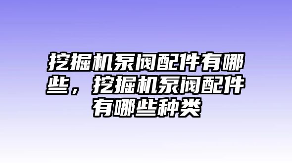 挖掘機(jī)泵閥配件有哪些，挖掘機(jī)泵閥配件有哪些種類