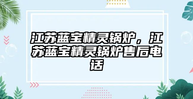 江蘇藍寶精靈鍋爐，江蘇藍寶精靈鍋爐售后電話