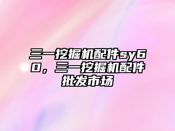 三一挖掘機(jī)配件sy60，三一挖掘機(jī)配件批發(fā)市場(chǎng)