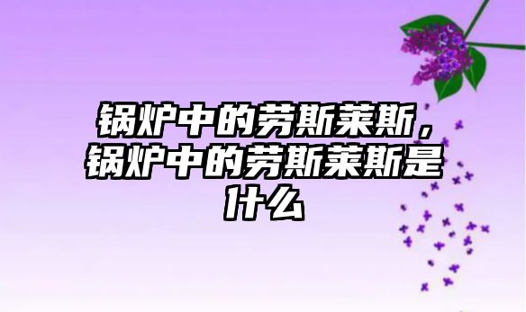 鍋爐中的勞斯萊斯，鍋爐中的勞斯萊斯是什么