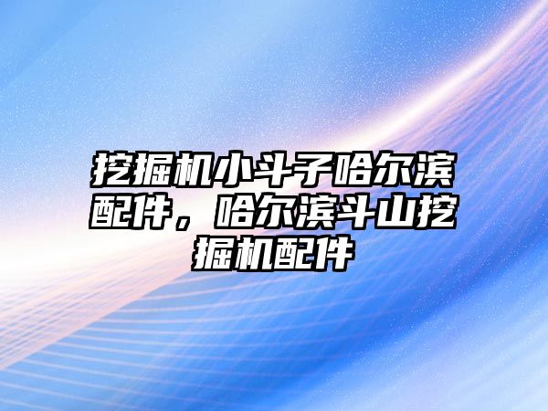 挖掘機(jī)小斗子哈爾濱配件，哈爾濱斗山挖掘機(jī)配件