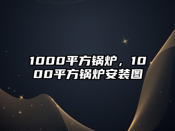 1000平方鍋爐，1000平方鍋爐安裝圖