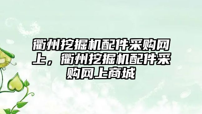 衢州挖掘機配件采購網上，衢州挖掘機配件采購網上商城