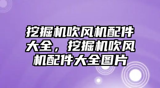 挖掘機吹風(fēng)機配件大全，挖掘機吹風(fēng)機配件大全圖片